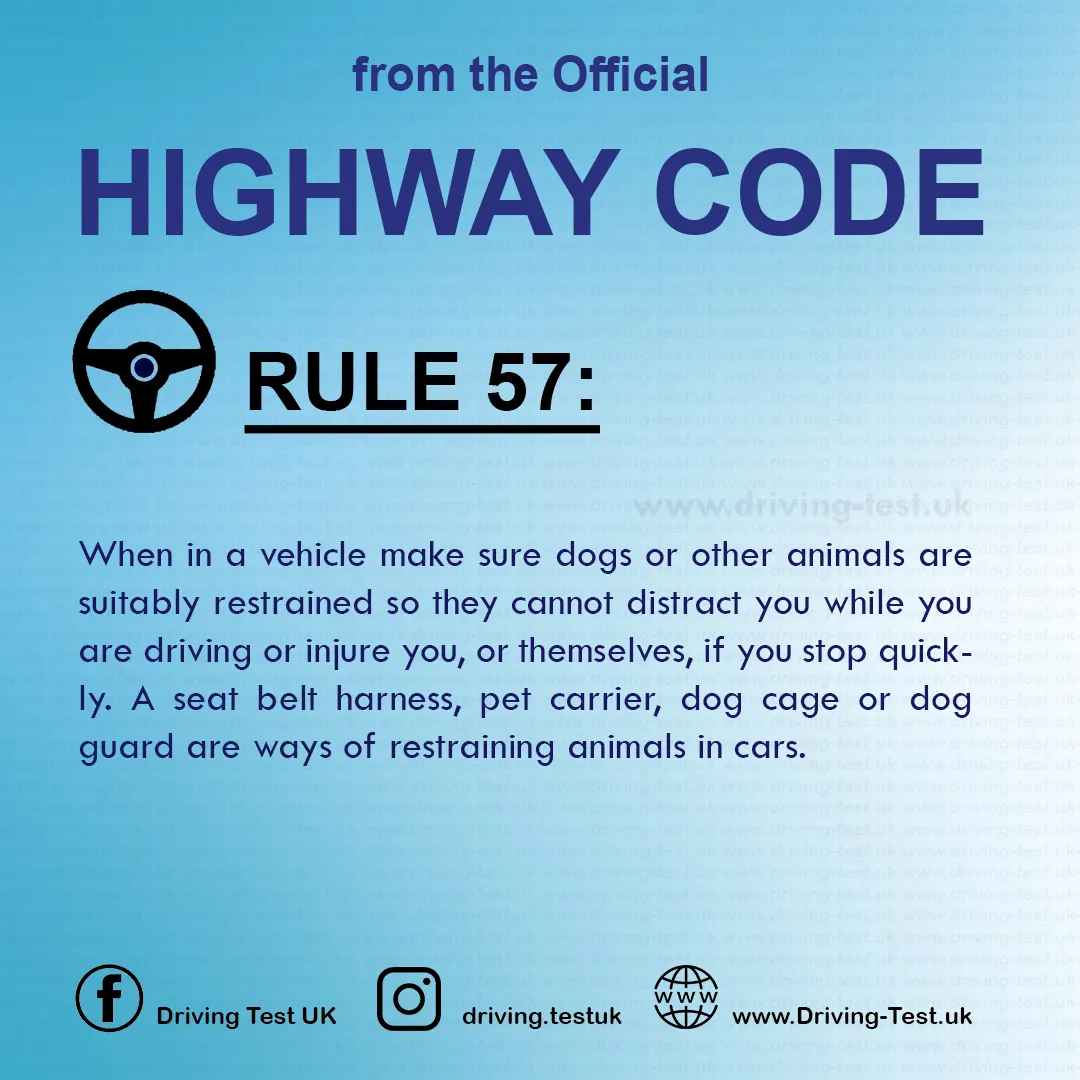 British Highway Code pdf Rules about animals Rule 57