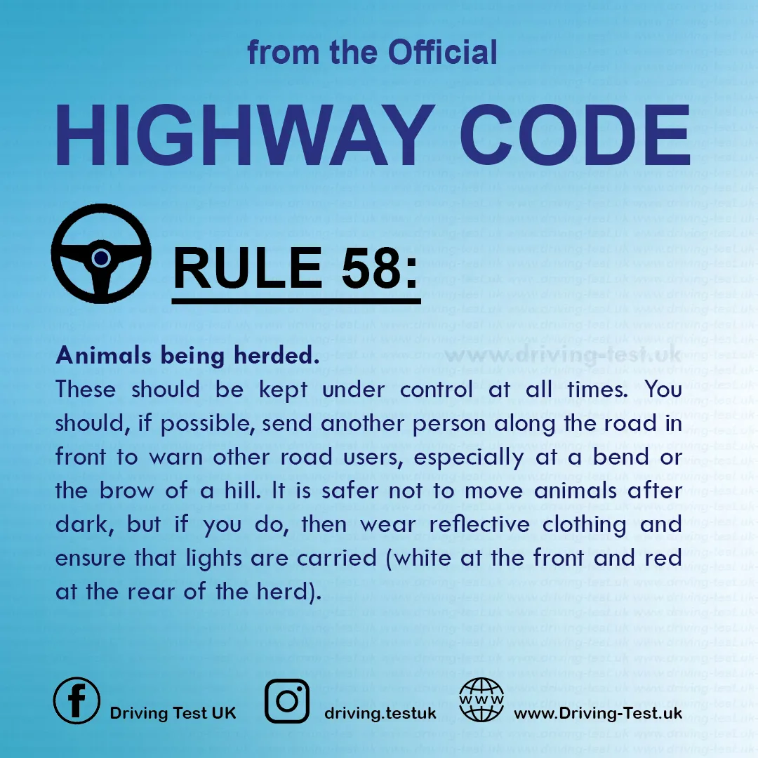 British Highway Code pdf Rules about animals Rule 58